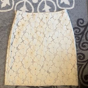 Ann Taylor skirt